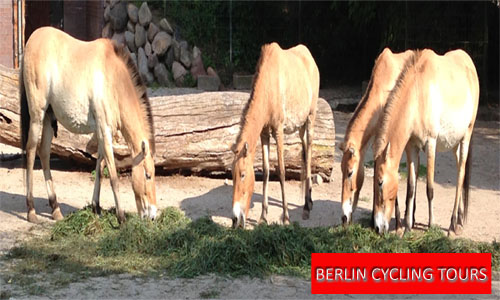 Zoo Berlin